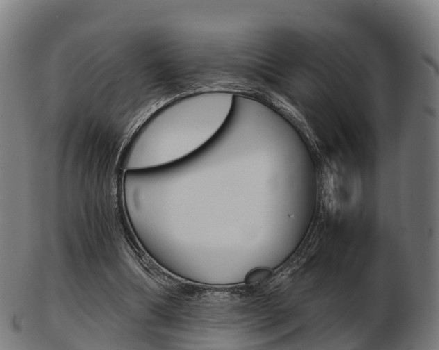 X0000103500298200809121018