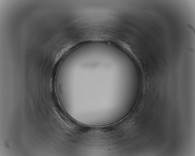 X0000103500299200809121018