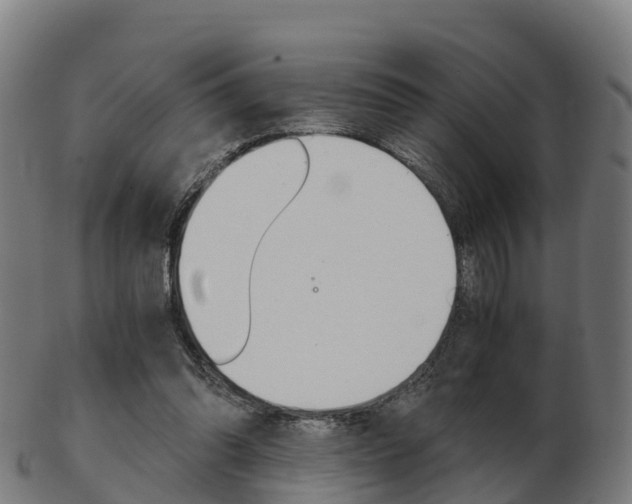 X0000103500302200809121018