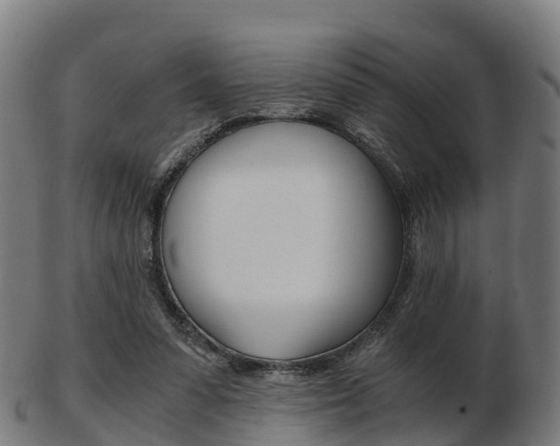 X0000103500303200809121018