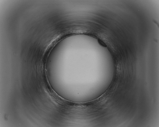 X0000103500304200809121018