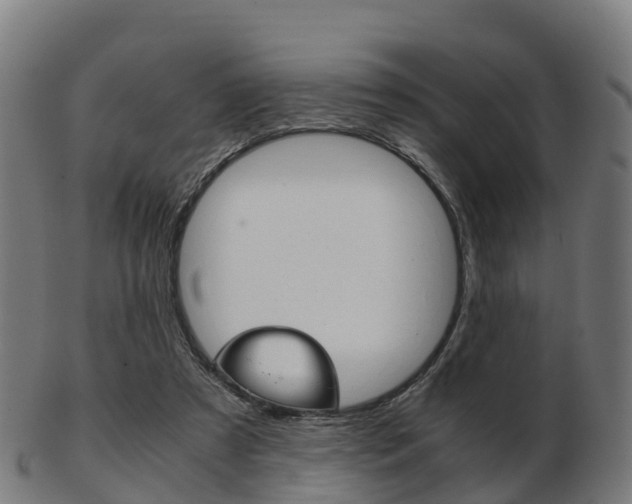X0000103500305200809121018