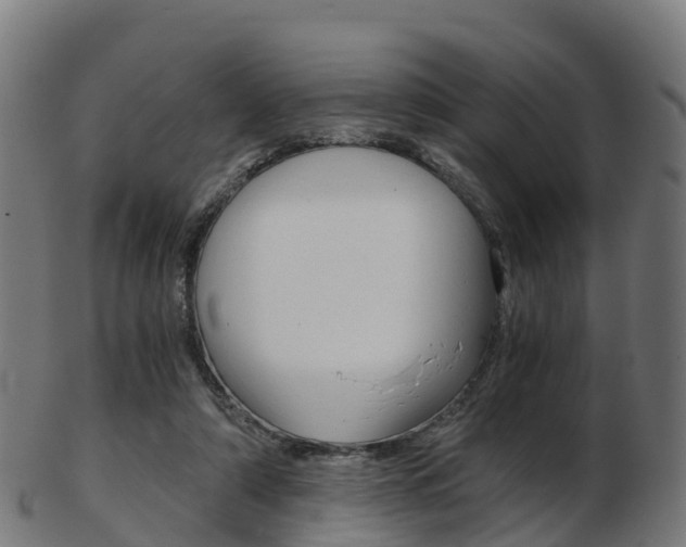 X0000103500306200809121018