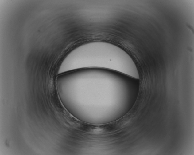 X0000103500312200809121018
