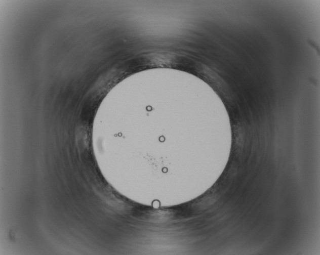 X0000103500313200809121018