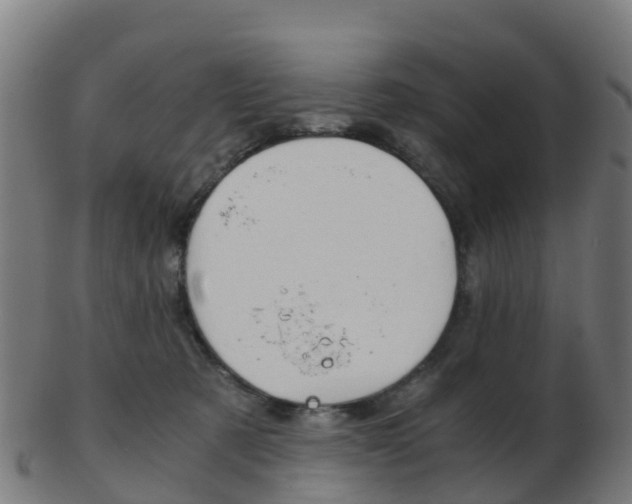 X0000103500321200809121018