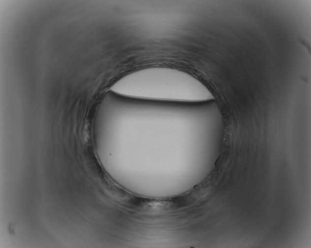 X0000103500323200809121018