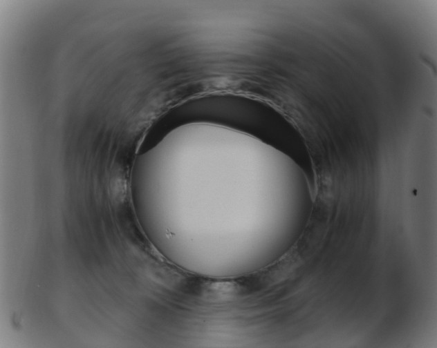 X0000103500324200809121018