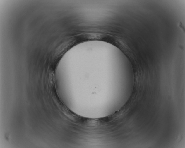 X0000103500325200809121018