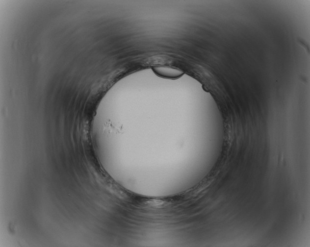 X0000103500326200809121018