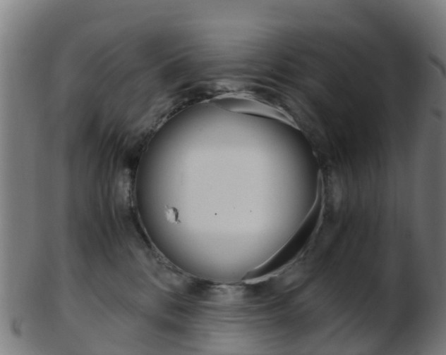 X0000103500328200809121018