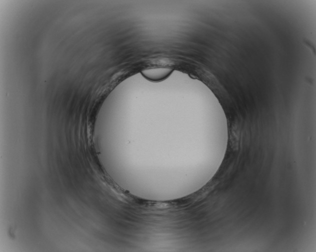 X0000103500330200809121018