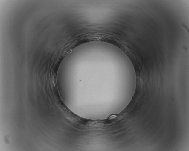 X0000103500331200809121018