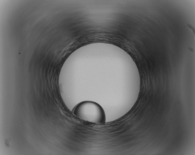 X0000103500332200809121018