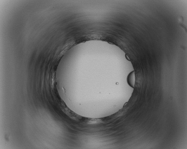X0000103500334200809121018