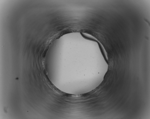 X0000103500335200809121017