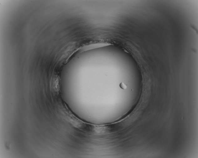 X0000103500336200809121017