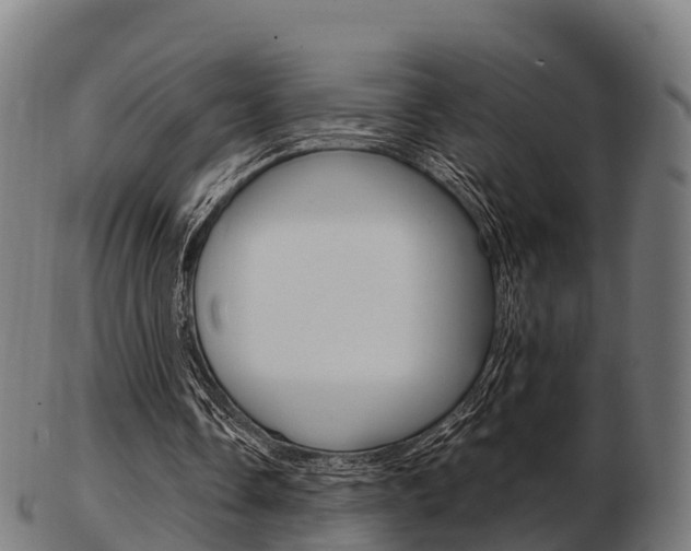 X0000103500338200809121017