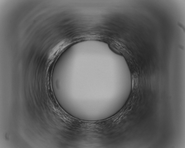 X0000103500339200809121017