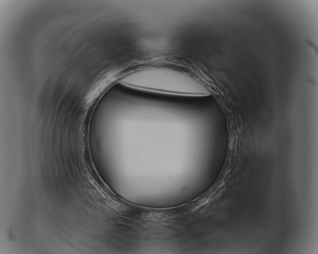 X0000103500341200809121017
