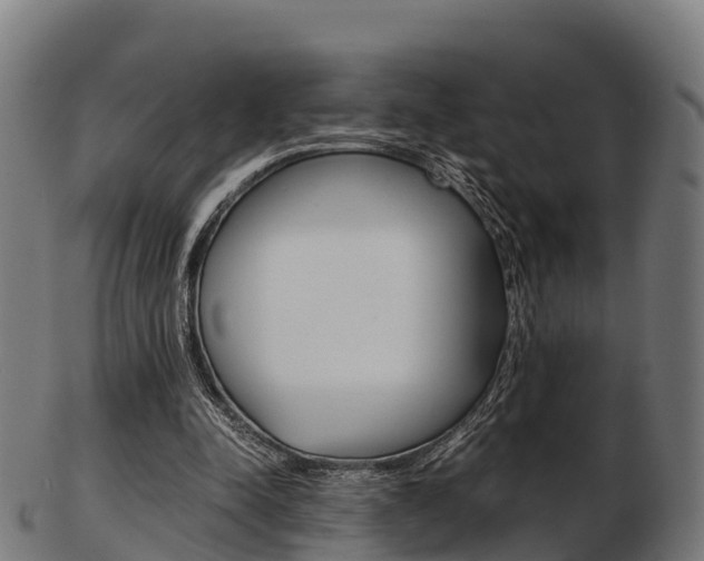 X0000103500342200809121017