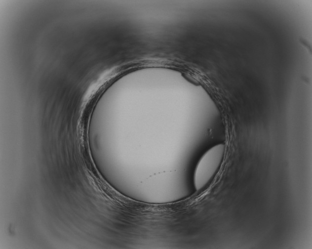 X0000103500343200809121017