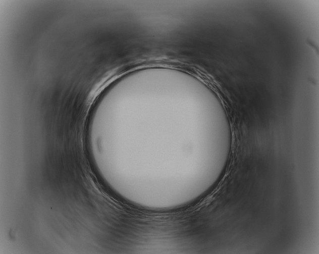 X0000103500344200809121017