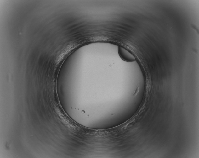X0000103500345200809121017