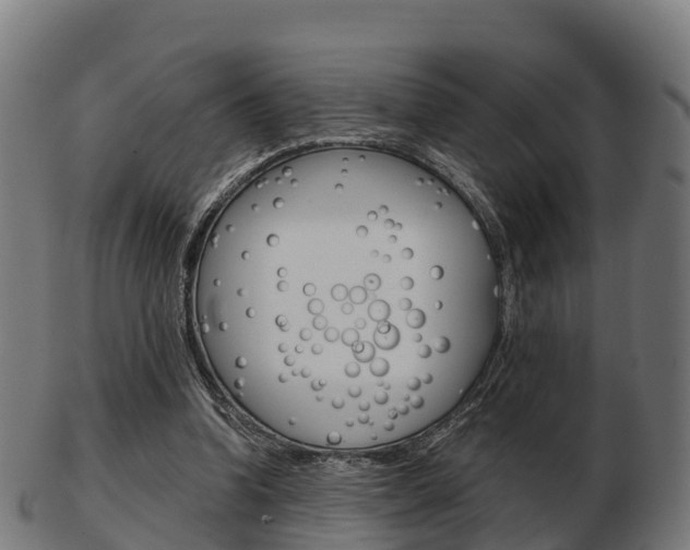 X0000103500346200809121017