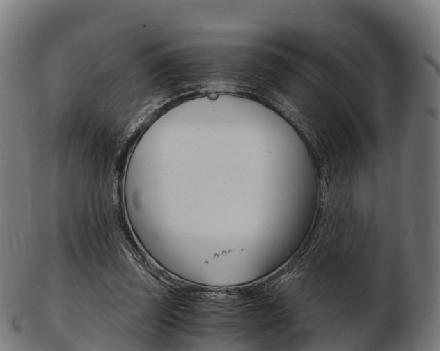 X0000103500347200809121017