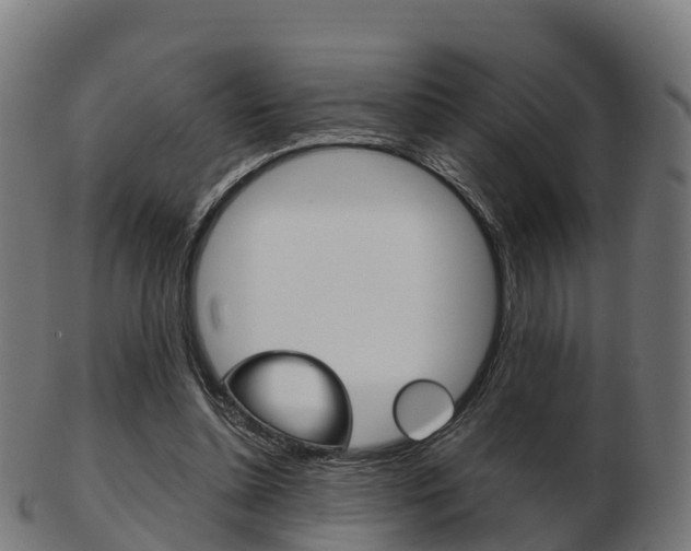 X0000103500348200809121017