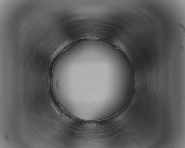 X0000103500349200809121017