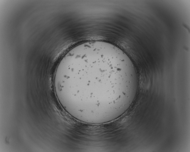 X0000103500351200809121017