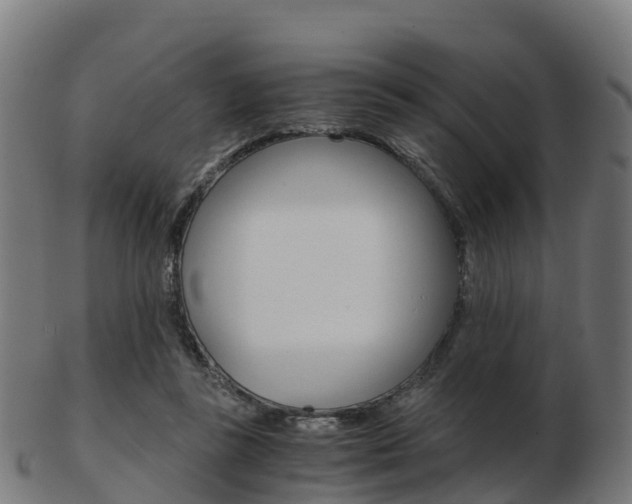 X0000103500355200809121017