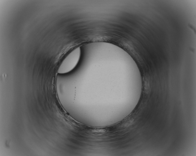 X0000103500357200809121017
