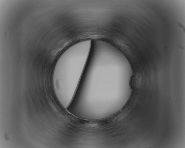X0000103500358200809121017