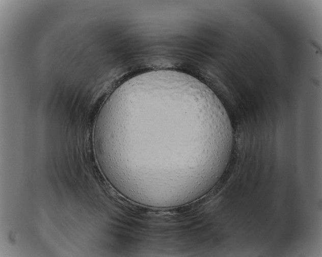 X0000103500359200809121017