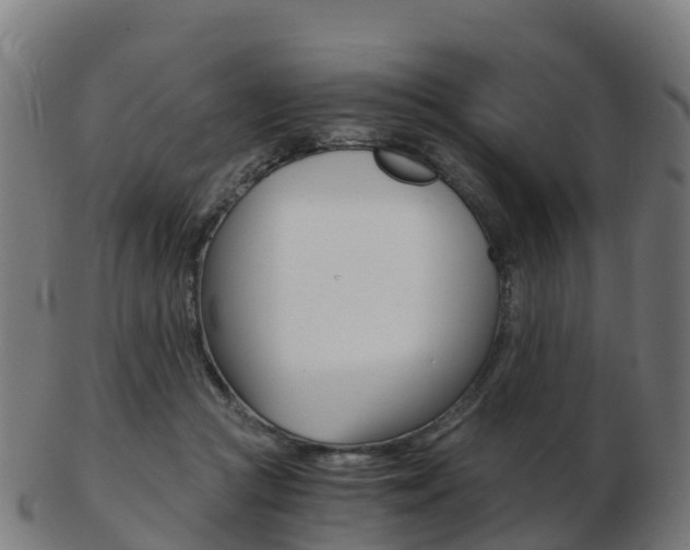 X0000103500361200809121017