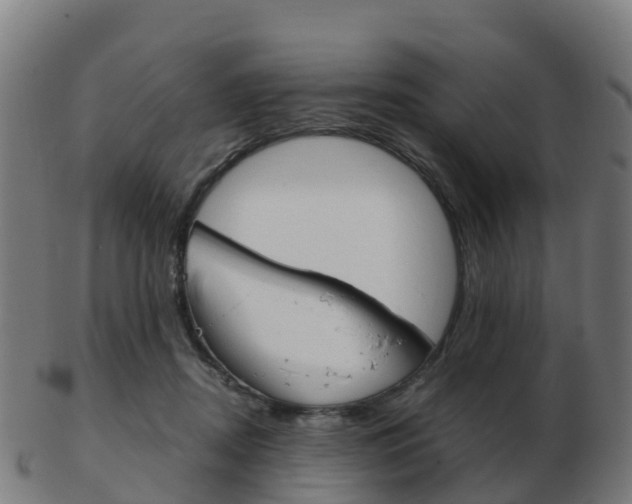 X0000103500362200809121017