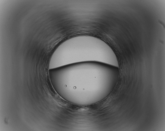 X0000103500364200809121017