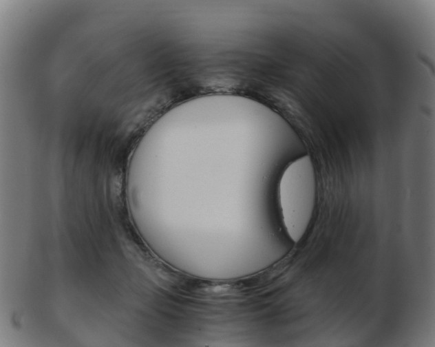 X0000103500365200809121017