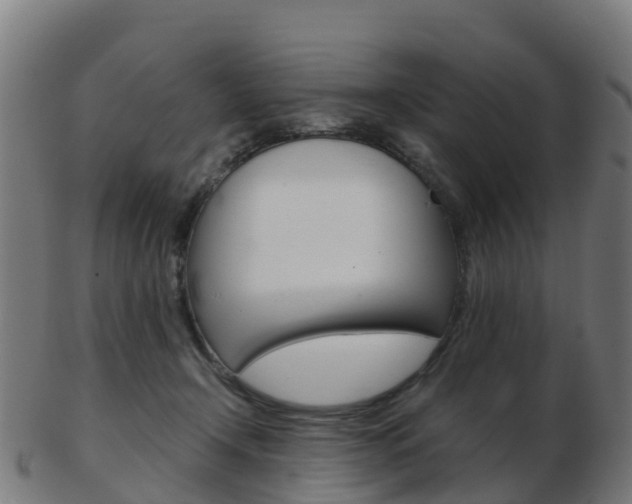 X0000103500366200809121017