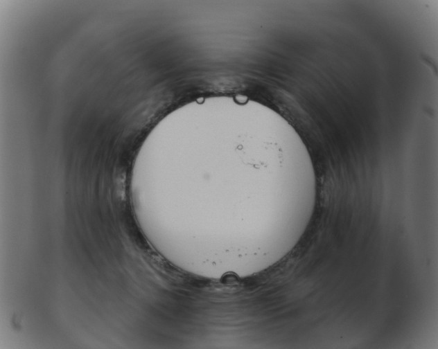 X0000103500368200809121017