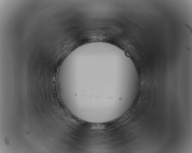 X0000103500369200809121017