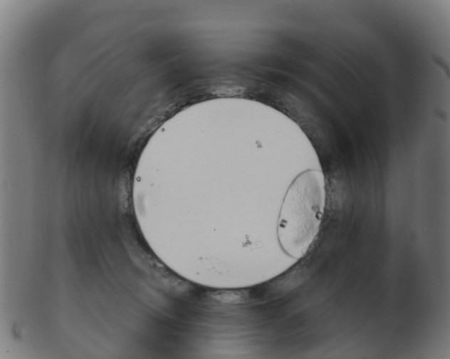 X0000103500370200809121017