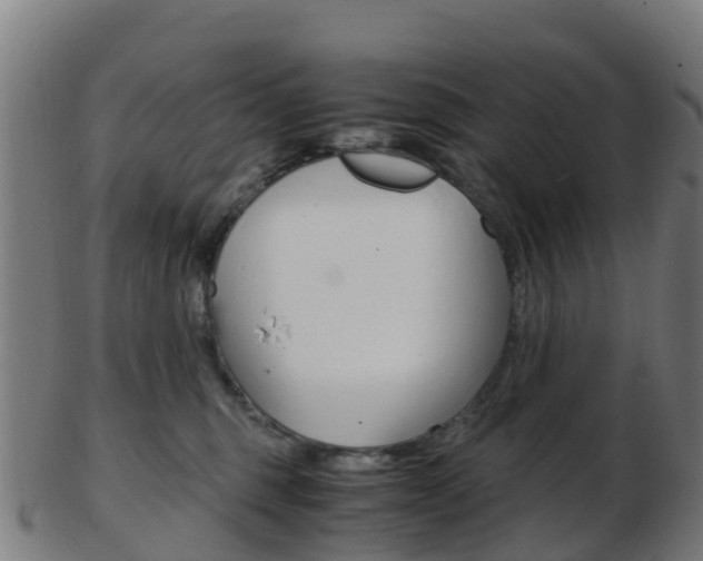 X0000103500375200809121017