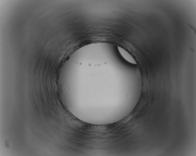 X0000103500377200809121017