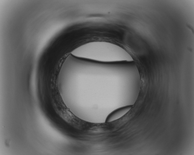 X0000103500381200809121017