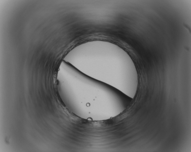 X0000103500382200809121017