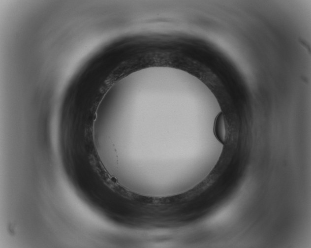 X0000103500383200809121017
